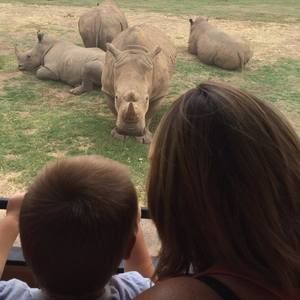 Meet your Posher, Mandy